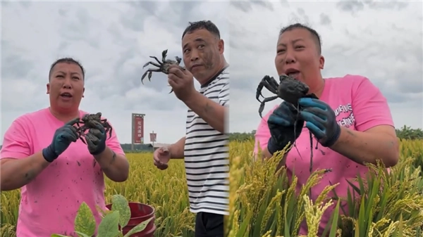 _卖螃蟹短视频_美食视频螃蟹